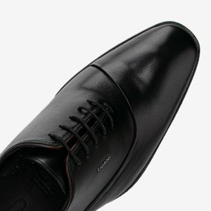 Zapato De Vestir 1VRG002