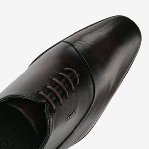 Zapato De Vestir Dark Brown 1VRG002