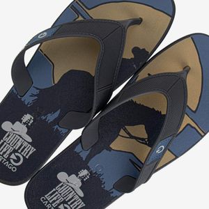 Sandalia Flip Flop Azul/Camel 2GCK38