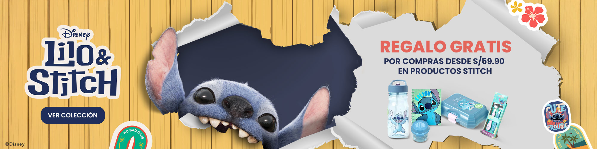 Colección Stitch
